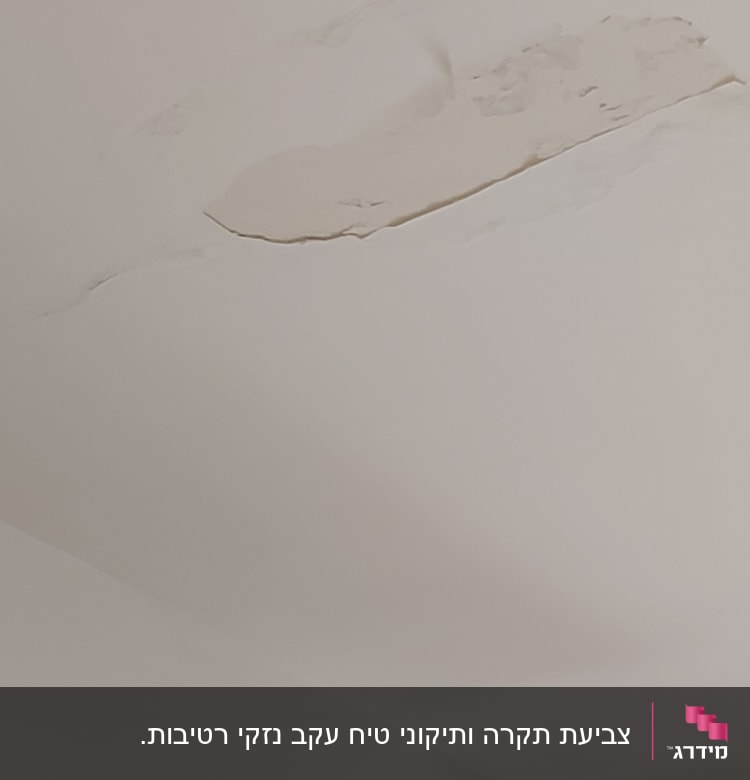 תקרה עם קילוף צבע וליקוי טיח